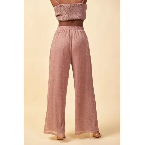 NWOT Skies Are Blue by Anthropologie Metallic Mesh High Rise Pants - Picture 2 of 11